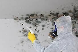 Mold Remediation for Vacation Homes in Wortham, TX